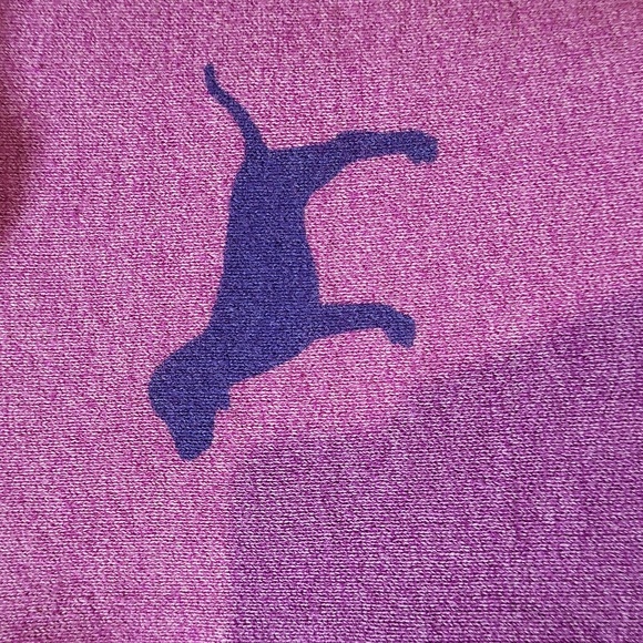 Victoria's Secret PINK Hoodie - Picture 4 of 12